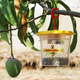 A fruit fly trap made by Barrix Agro.